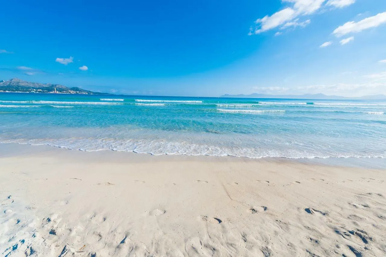 Apartamento Ses Roses Apartment Alcudia  Spain