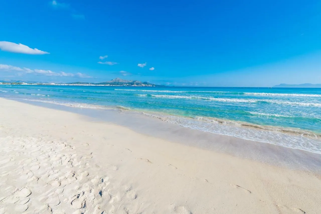 Apartamento Ses Roses Apartment Alcudia